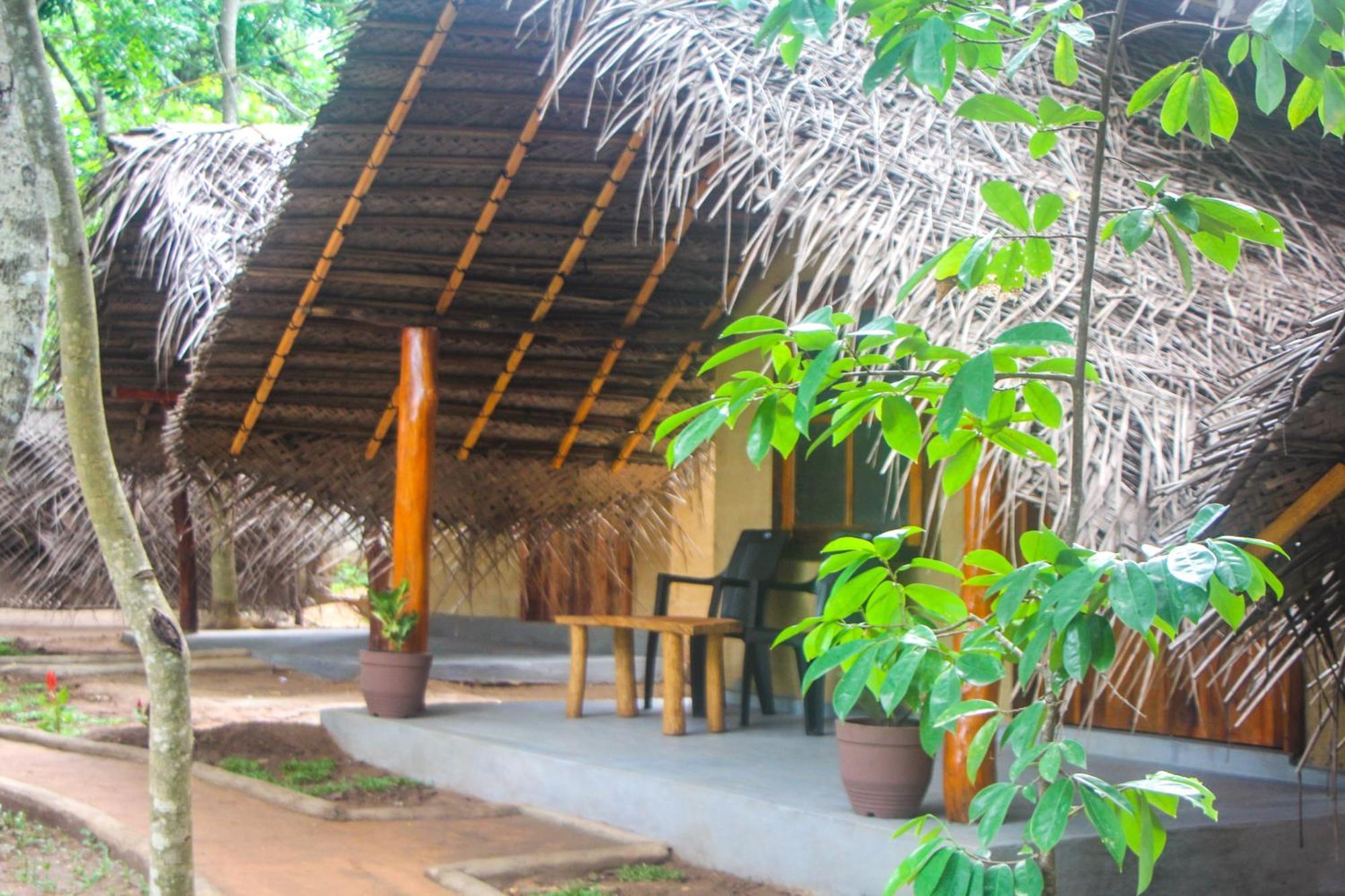 Jungle Host Hostel And Tree House Sigirija Zewnętrze zdjęcie
