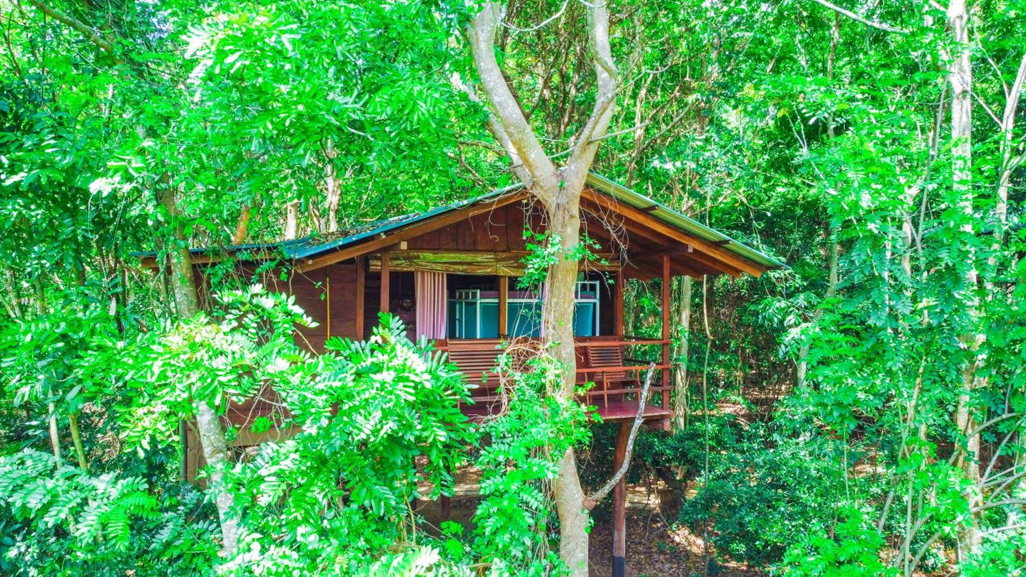 Jungle Host Hostel And Tree House Sigirija Zewnętrze zdjęcie