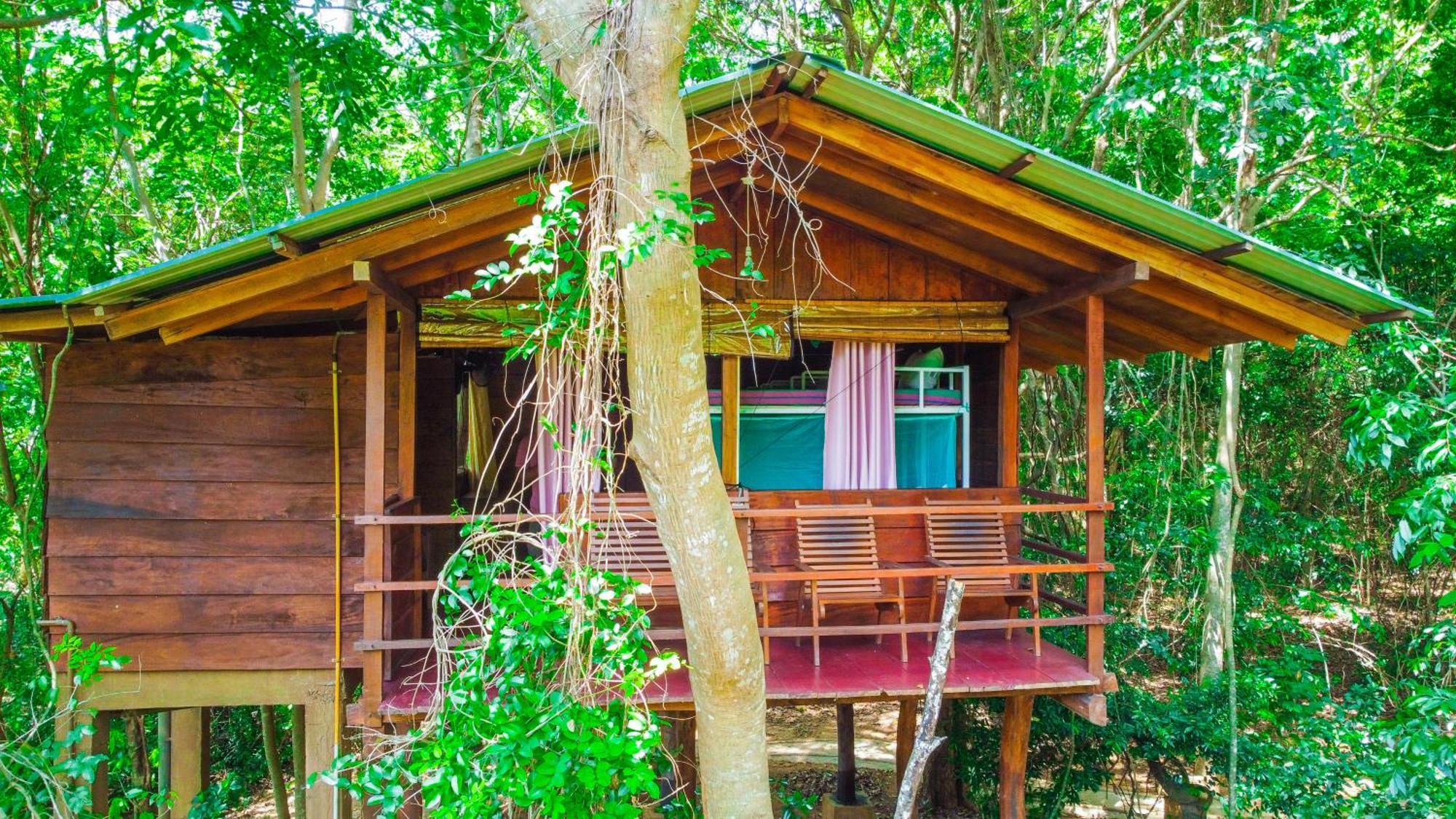 Jungle Host Hostel And Tree House Sigirija Zewnętrze zdjęcie