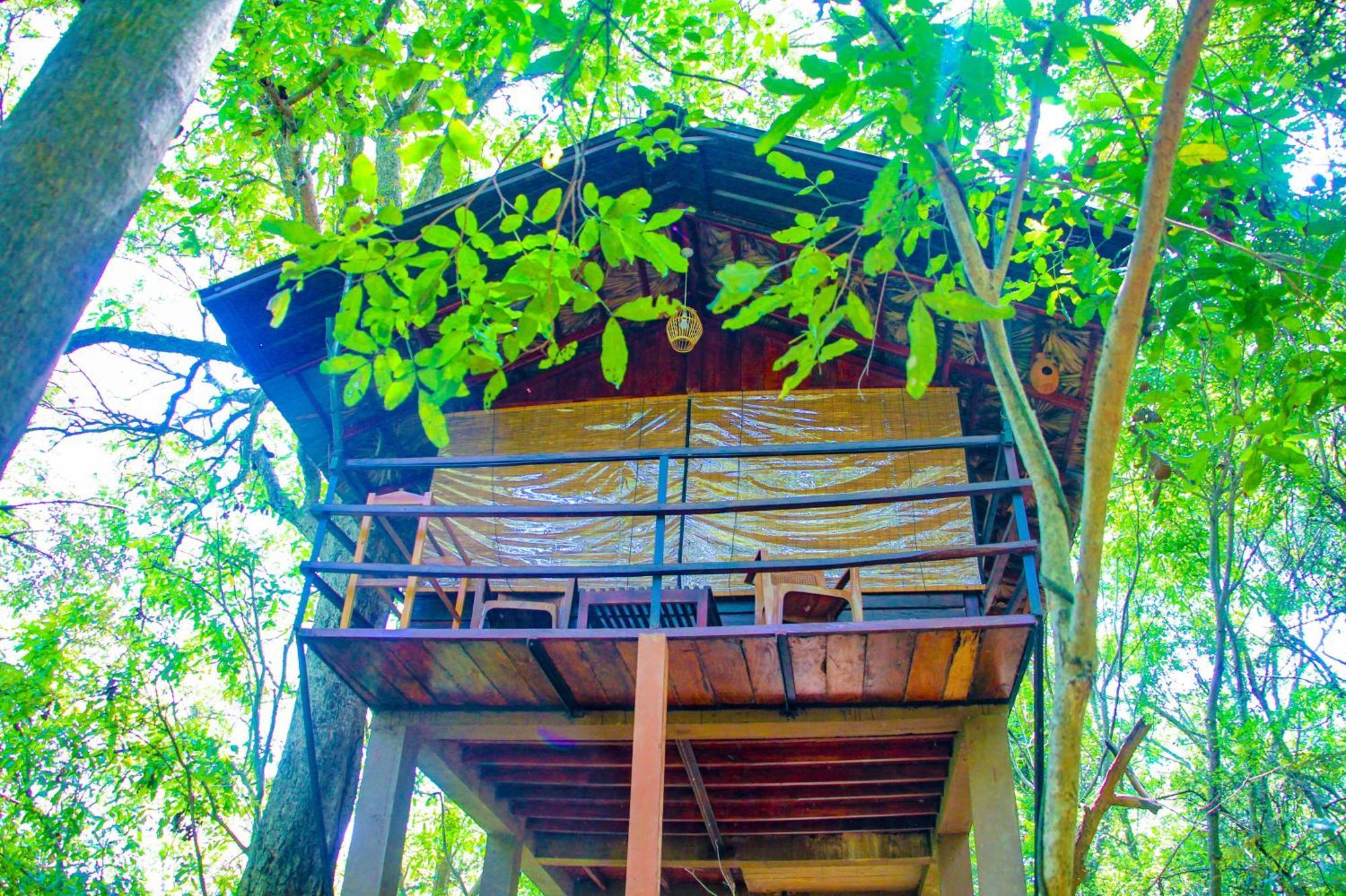 Jungle Host Hostel And Tree House Sigirija Zewnętrze zdjęcie