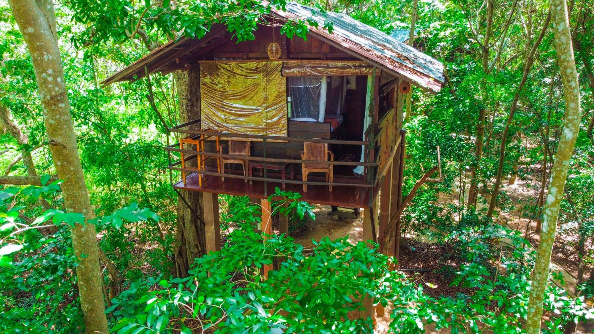 Jungle Host Hostel And Tree House Sigirija Zewnętrze zdjęcie