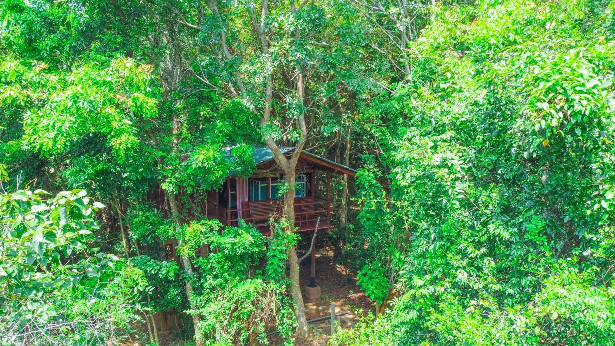 Jungle Host Hostel And Tree House Sigirija Zewnętrze zdjęcie